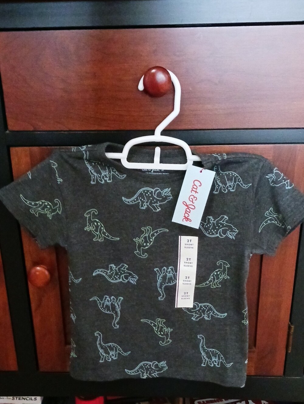 Cat & Jack Charcoal Gray Short Sleeve Tee with Light Green Dino Print